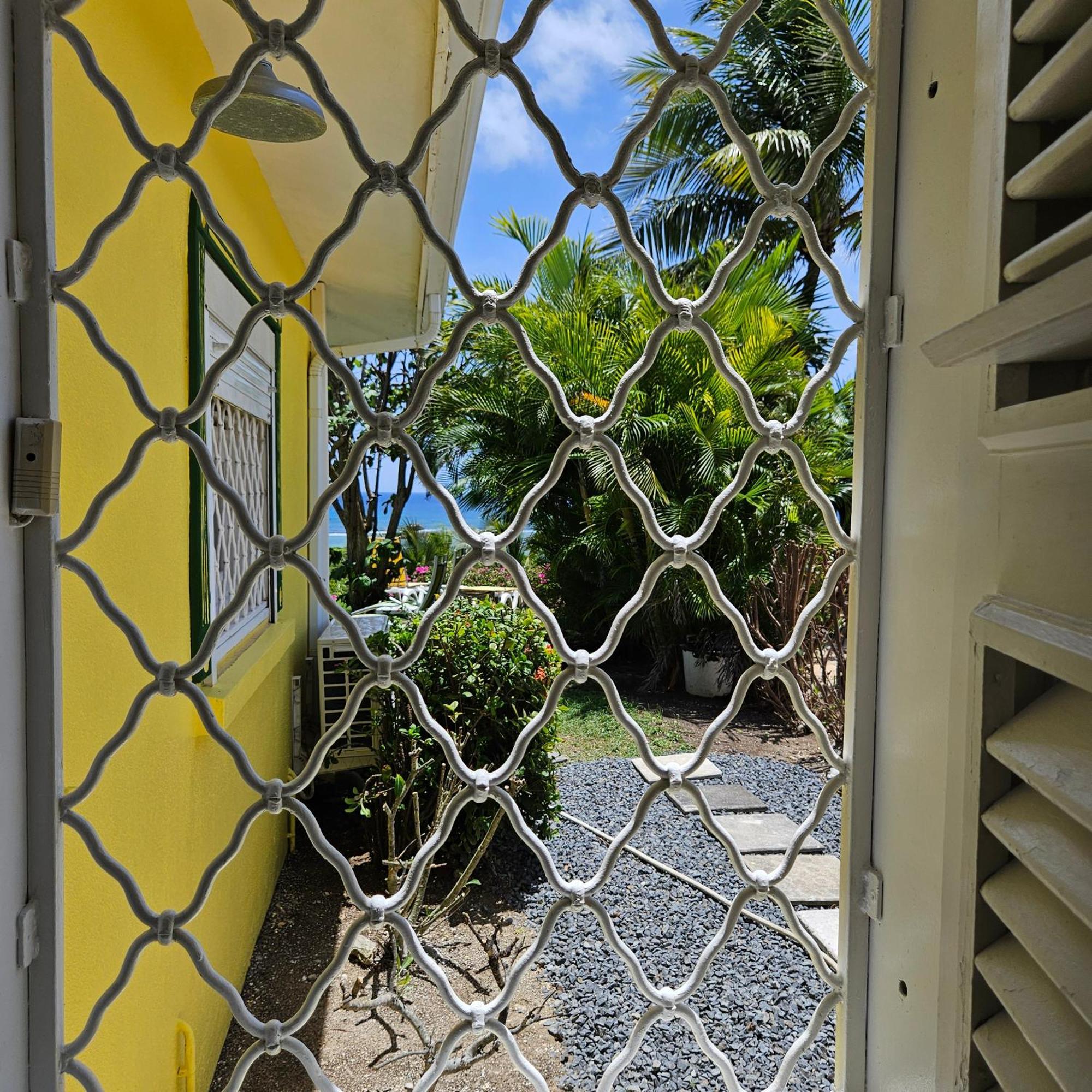 Villa Guadeloupe Saint Francois Acces Mer Piscine Iguana Bay - Villa Zagadi Buitenkant foto