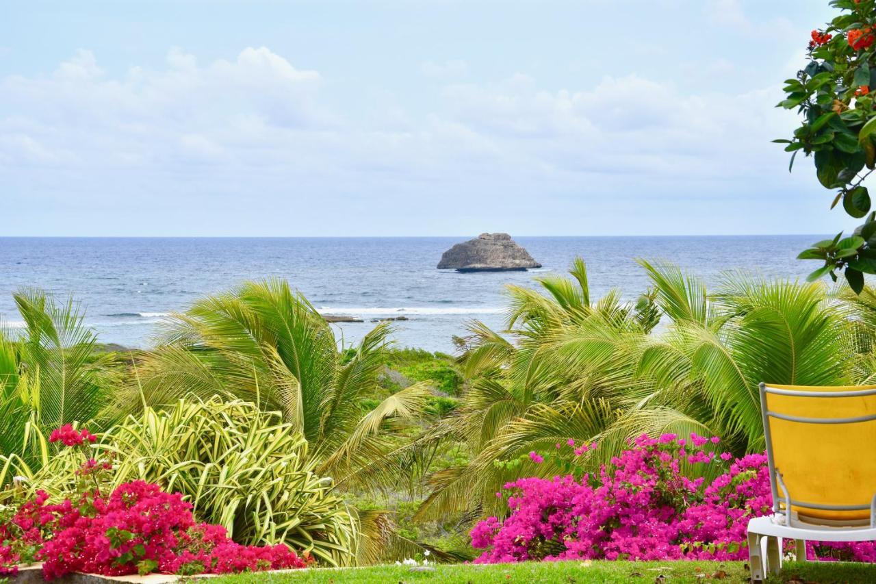 Villa Guadeloupe Saint Francois Acces Mer Piscine Iguana Bay - Villa Zagadi Buitenkant foto