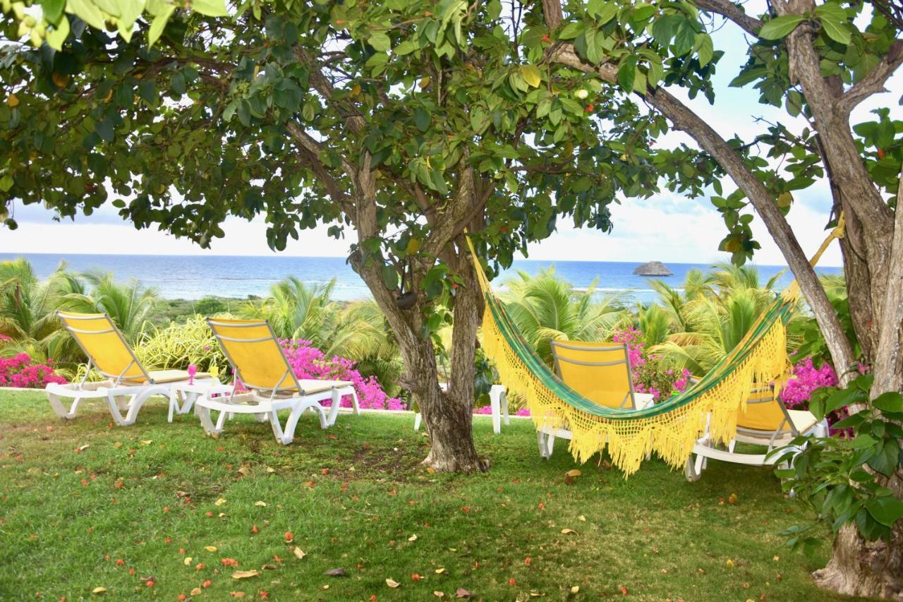 Villa Guadeloupe Saint Francois Acces Mer Piscine Iguana Bay - Villa Zagadi Buitenkant foto