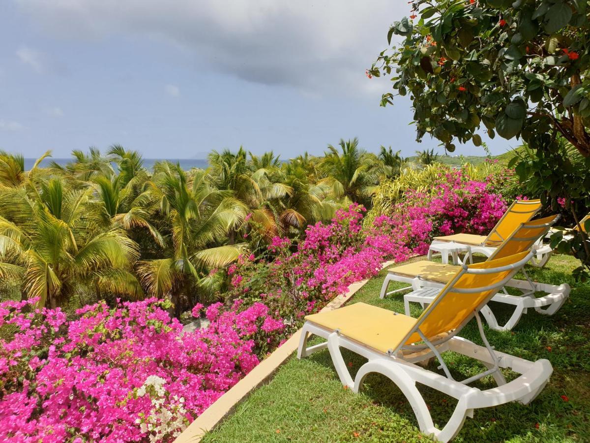 Villa Guadeloupe Saint Francois Acces Mer Piscine Iguana Bay - Villa Zagadi Buitenkant foto