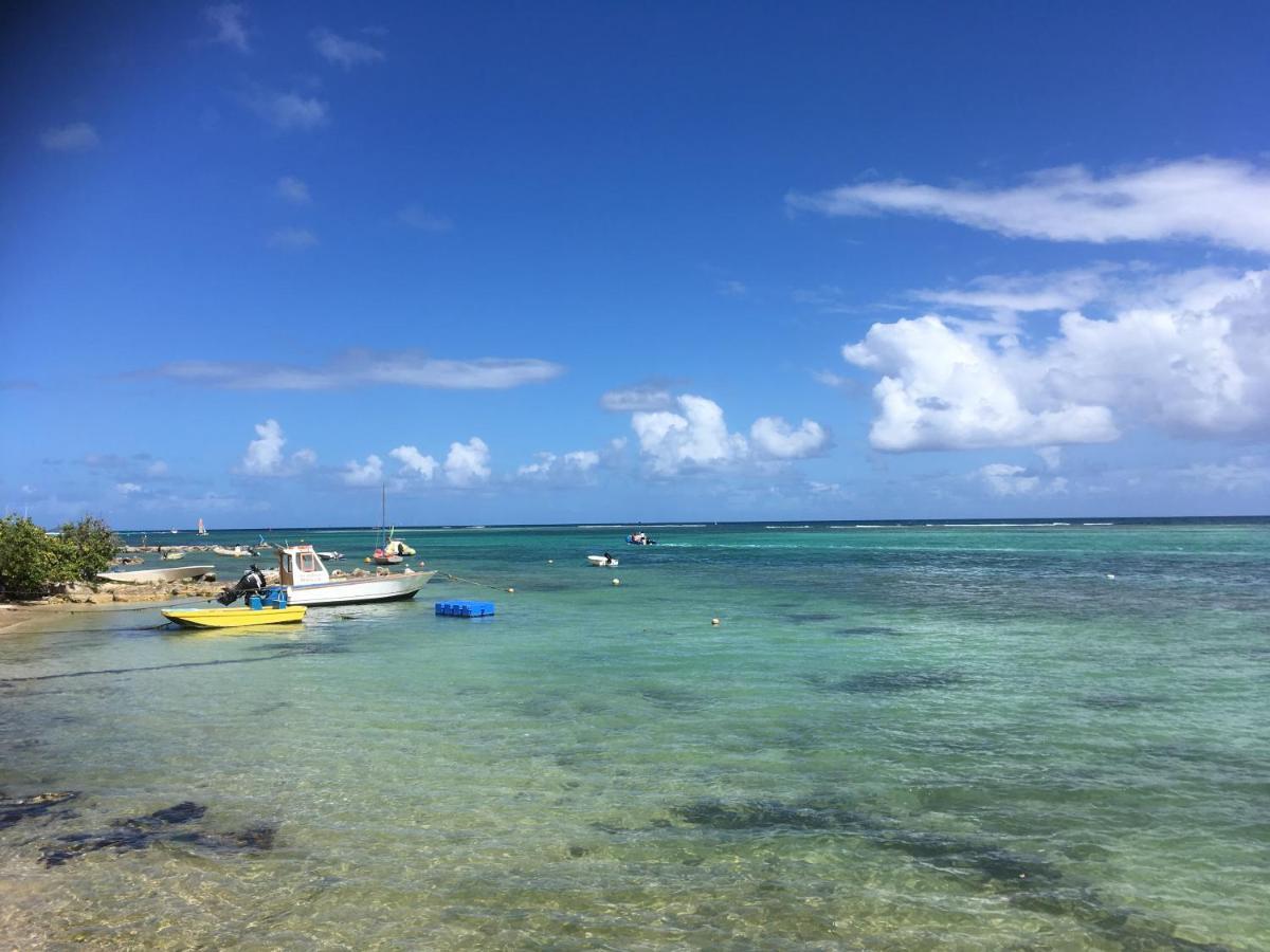 Villa Guadeloupe Saint Francois Acces Mer Piscine Iguana Bay - Villa Zagadi Buitenkant foto