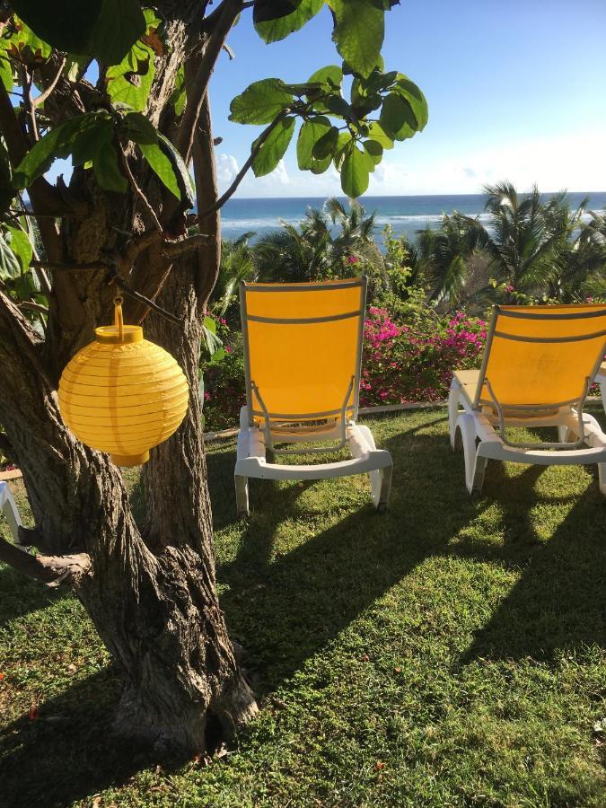 Villa Guadeloupe Saint Francois Acces Mer Piscine Iguana Bay - Villa Zagadi Buitenkant foto