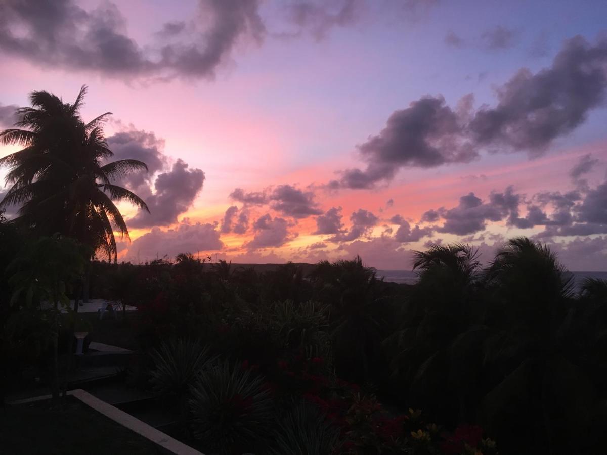 Villa Guadeloupe Saint Francois Acces Mer Piscine Iguana Bay - Villa Zagadi Buitenkant foto